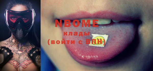 2c-b Инсар