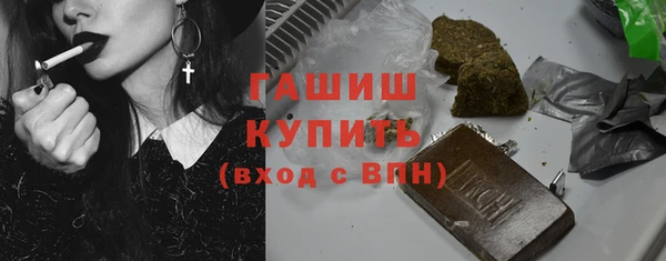 2c-b Инсар