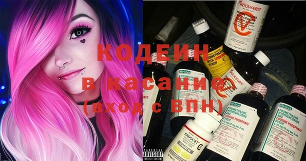 2c-b Инсар