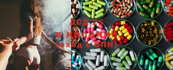 2c-b Инсар