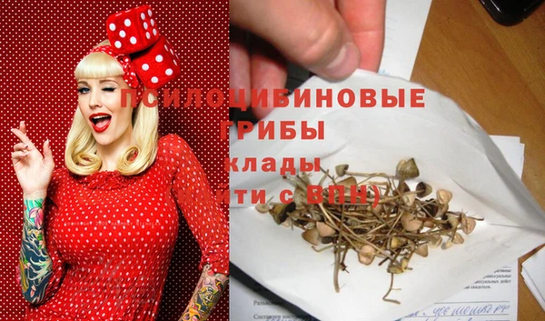 прущий лед Инта